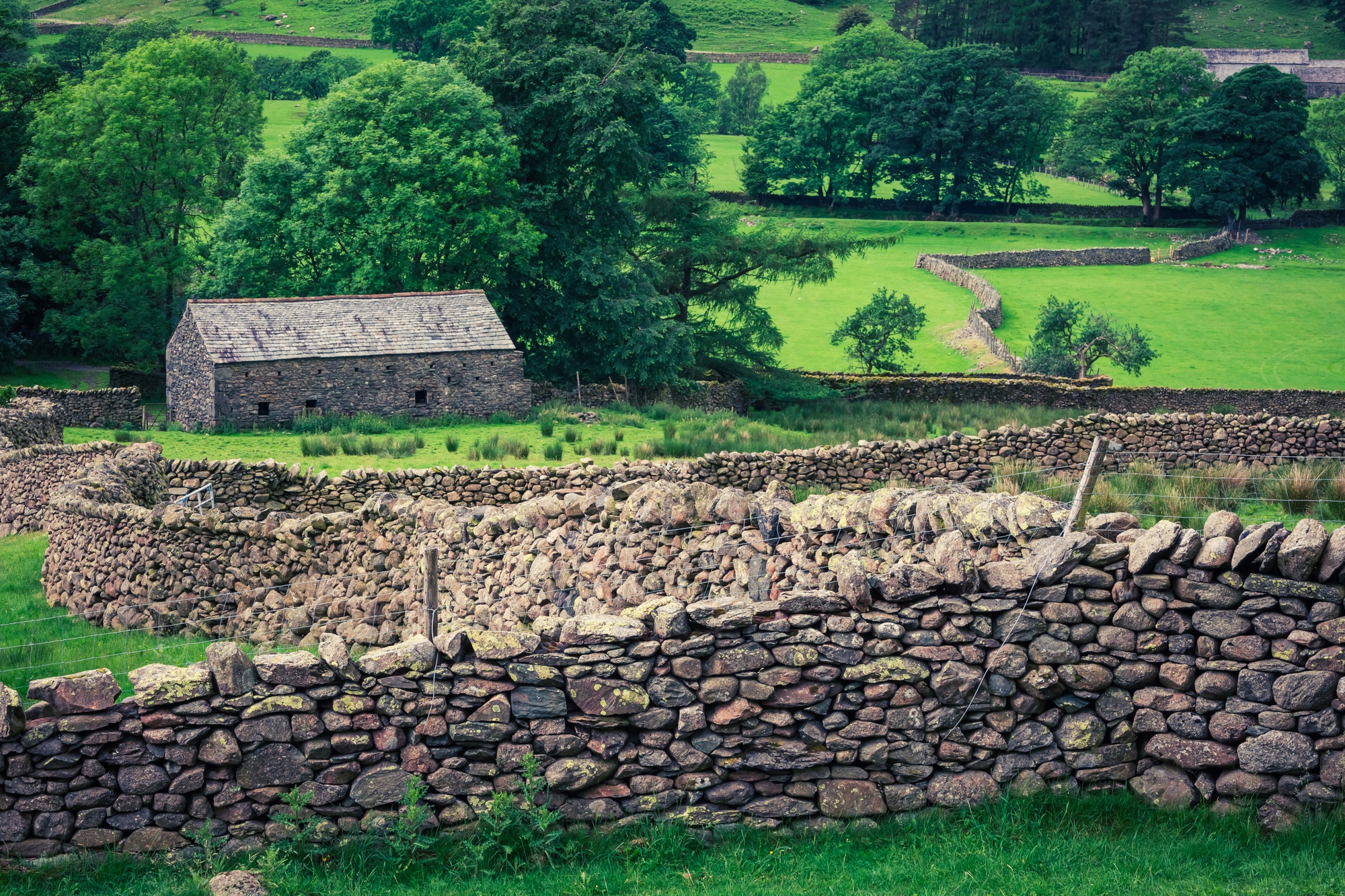 Vieille clôture en pierre et une maison dans le Lake District, en Angleterre